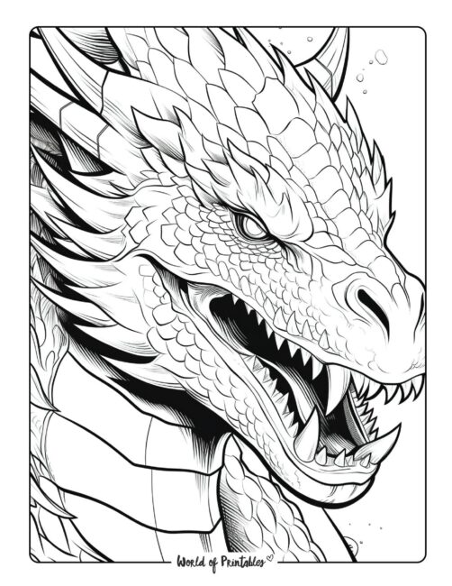 Dragon coloring pages for kids adults