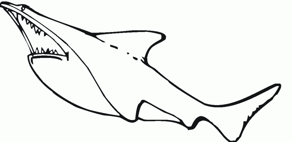 Free printable shark coloring pages for kids