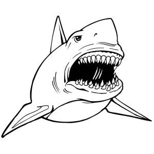 Shark coloring pages