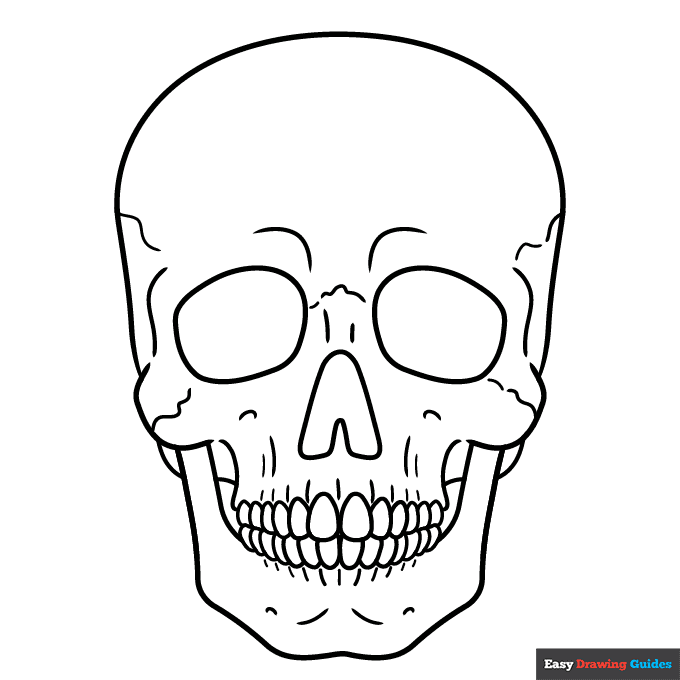 Realistic skull coloring page easy drawing guides