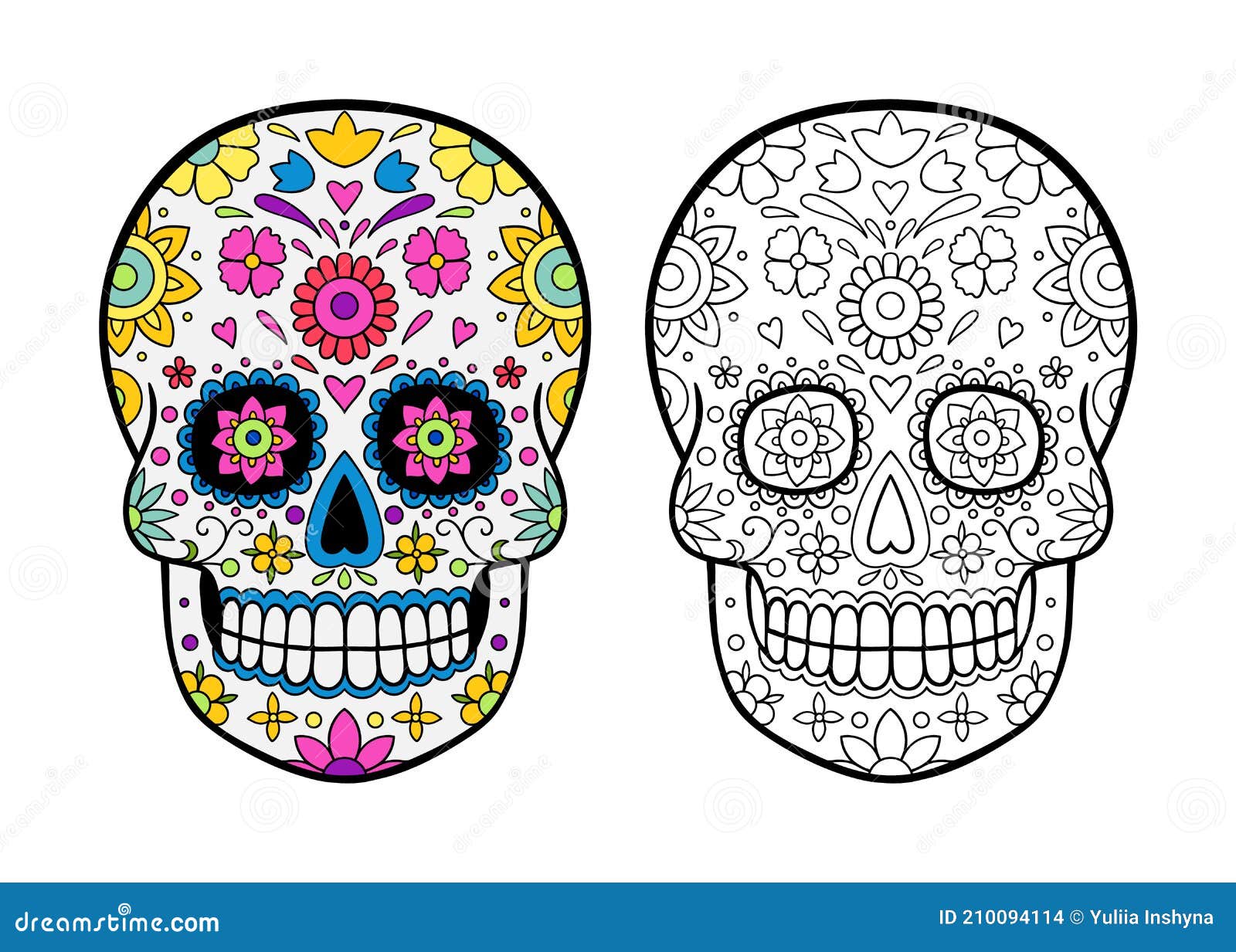 Sugar skull coloring page stock vector illustration of coloring