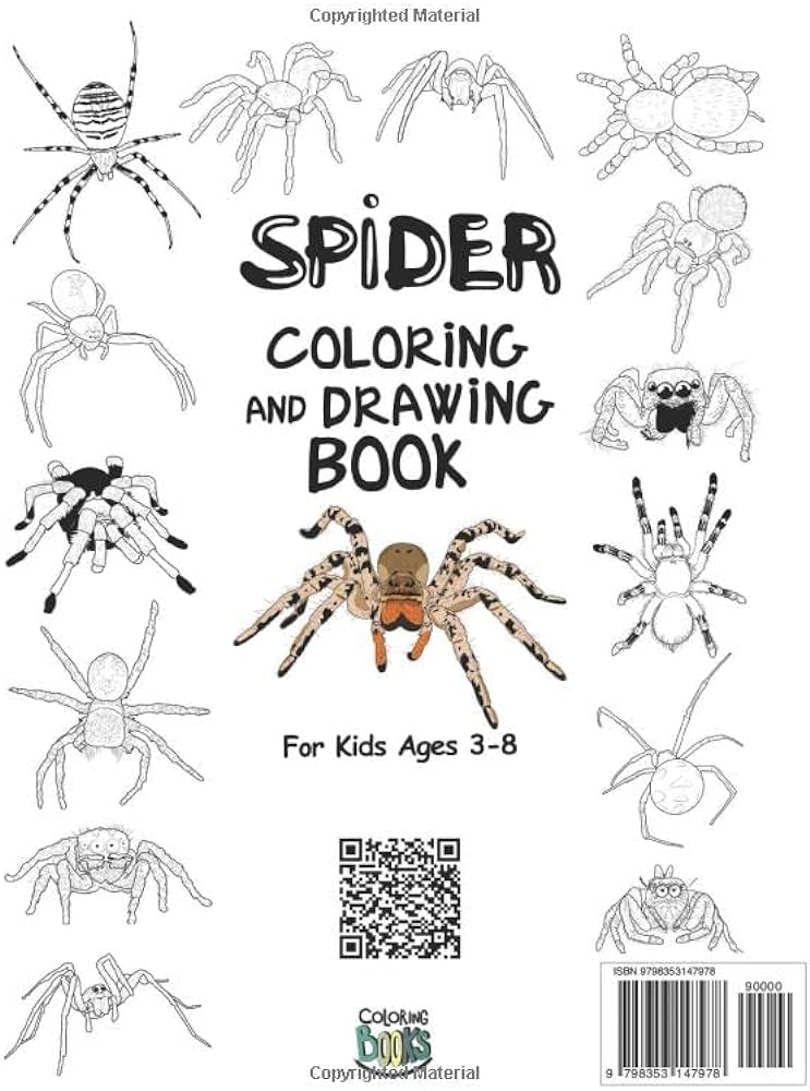 Spider coloring and drawing book for kids ages