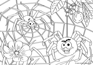 Spider louring pages