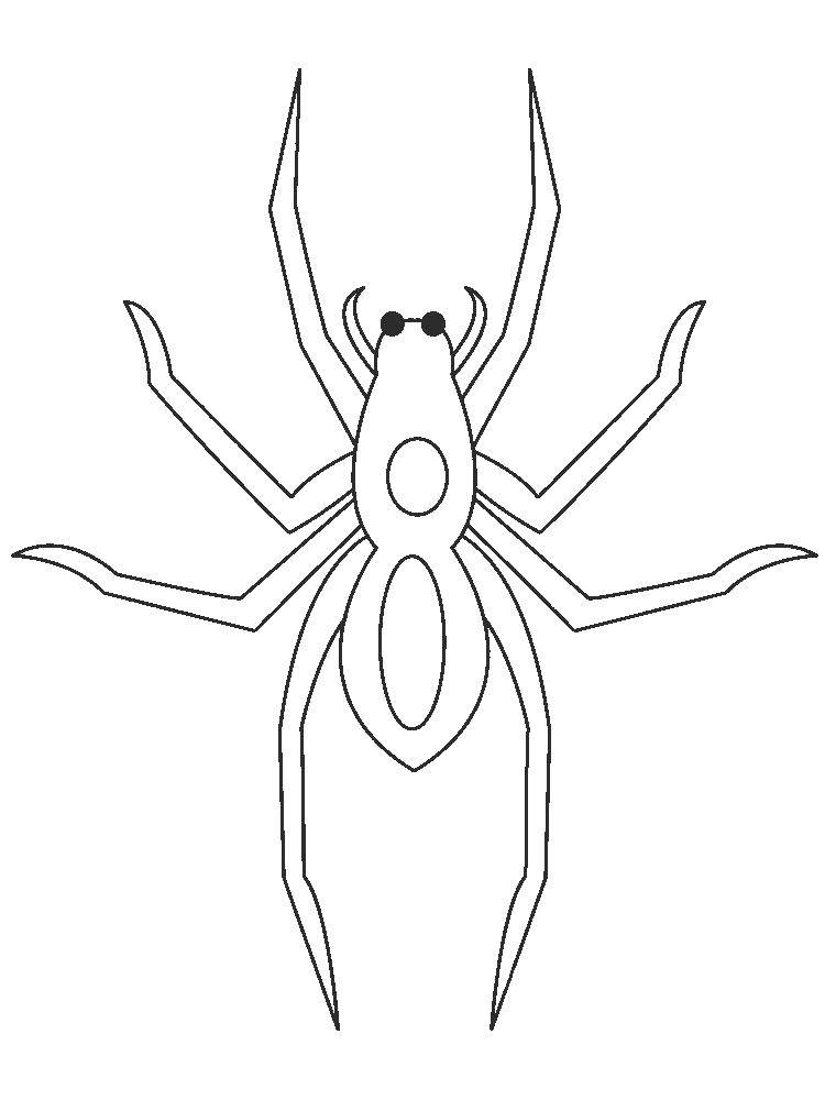 Online coloring pages spider coloring scary spider coloring spiders