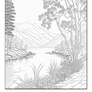 Wonderful landscapes beautiful scene adult coloring book enjoy cozy countryside scenes natures charming forest majestic mountains anson annie books