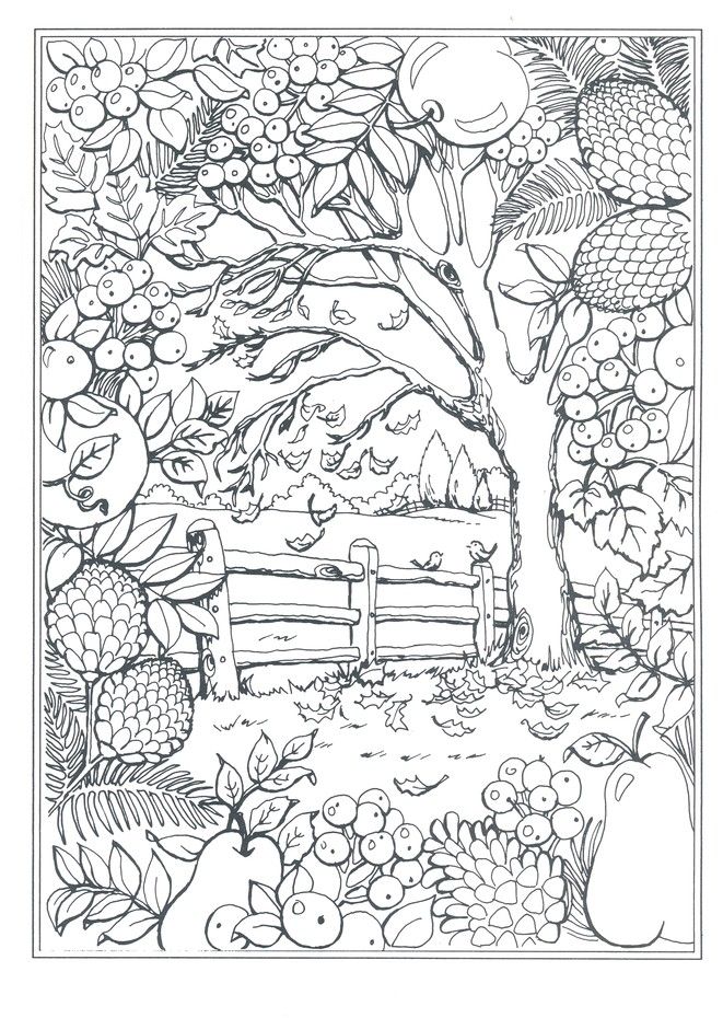 Autumn scenes coloring book detailed coloring pages coloring pages fall coloring pages