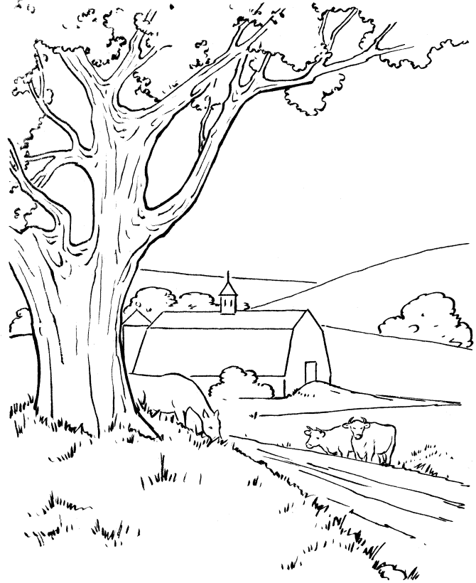 Farm coloring pages