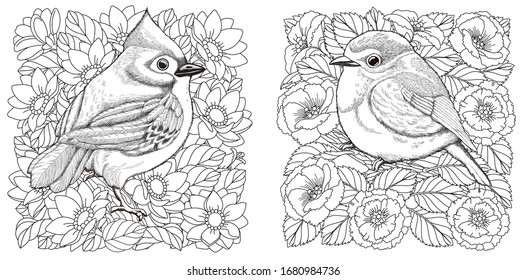 Adult coloring page sun over royalty
