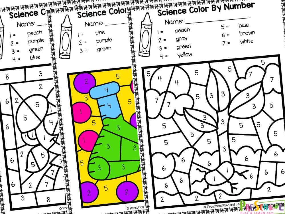 Ðª free printable science color by number worksheets