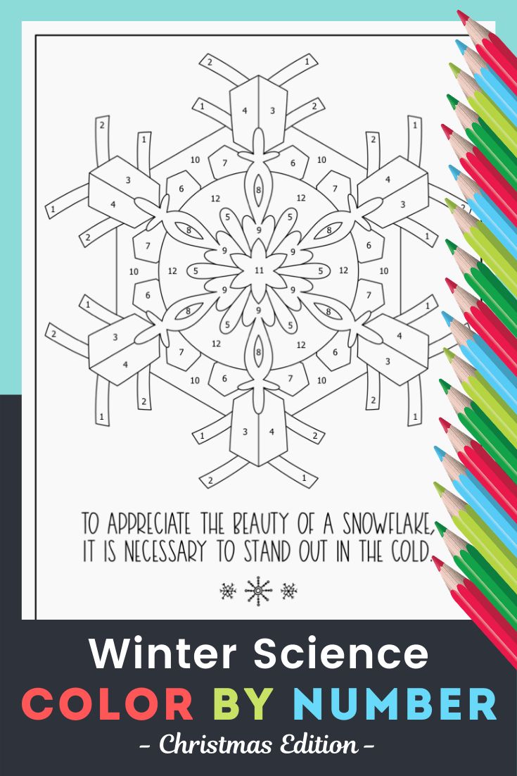 Christmas science winter activity
