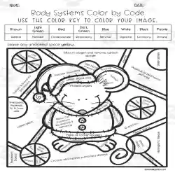 Christmas science color by code worksheet by teach simple
