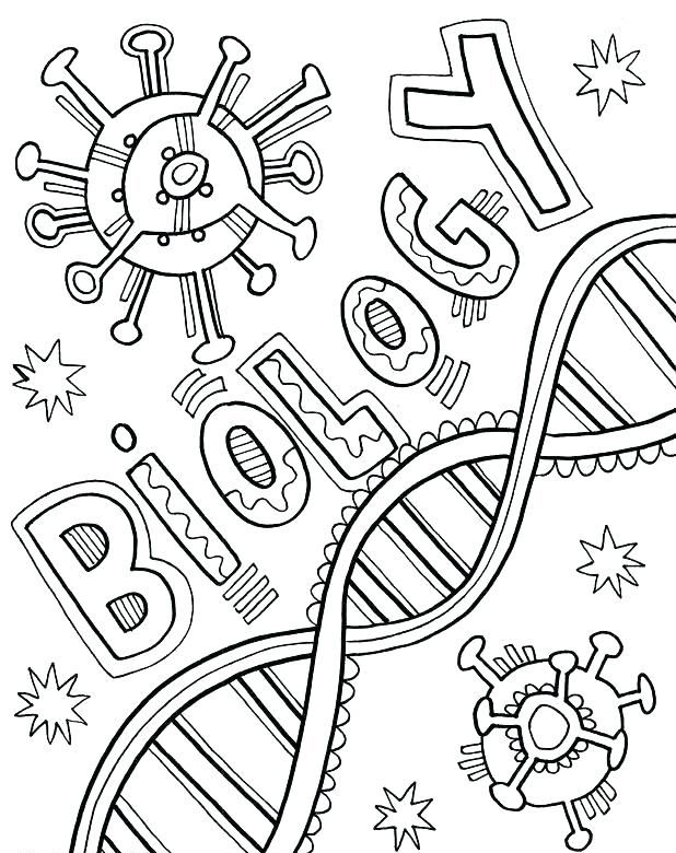 Pin by carolina trs on sticker coloring books coloring pages for kids science color sheets