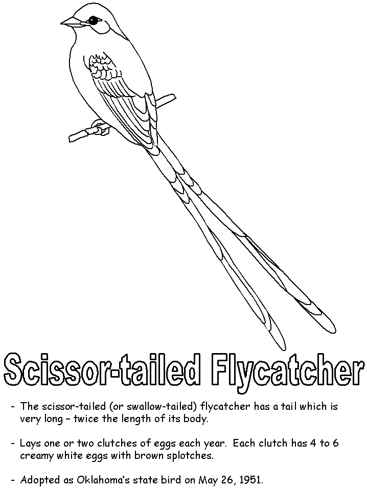 Scissor