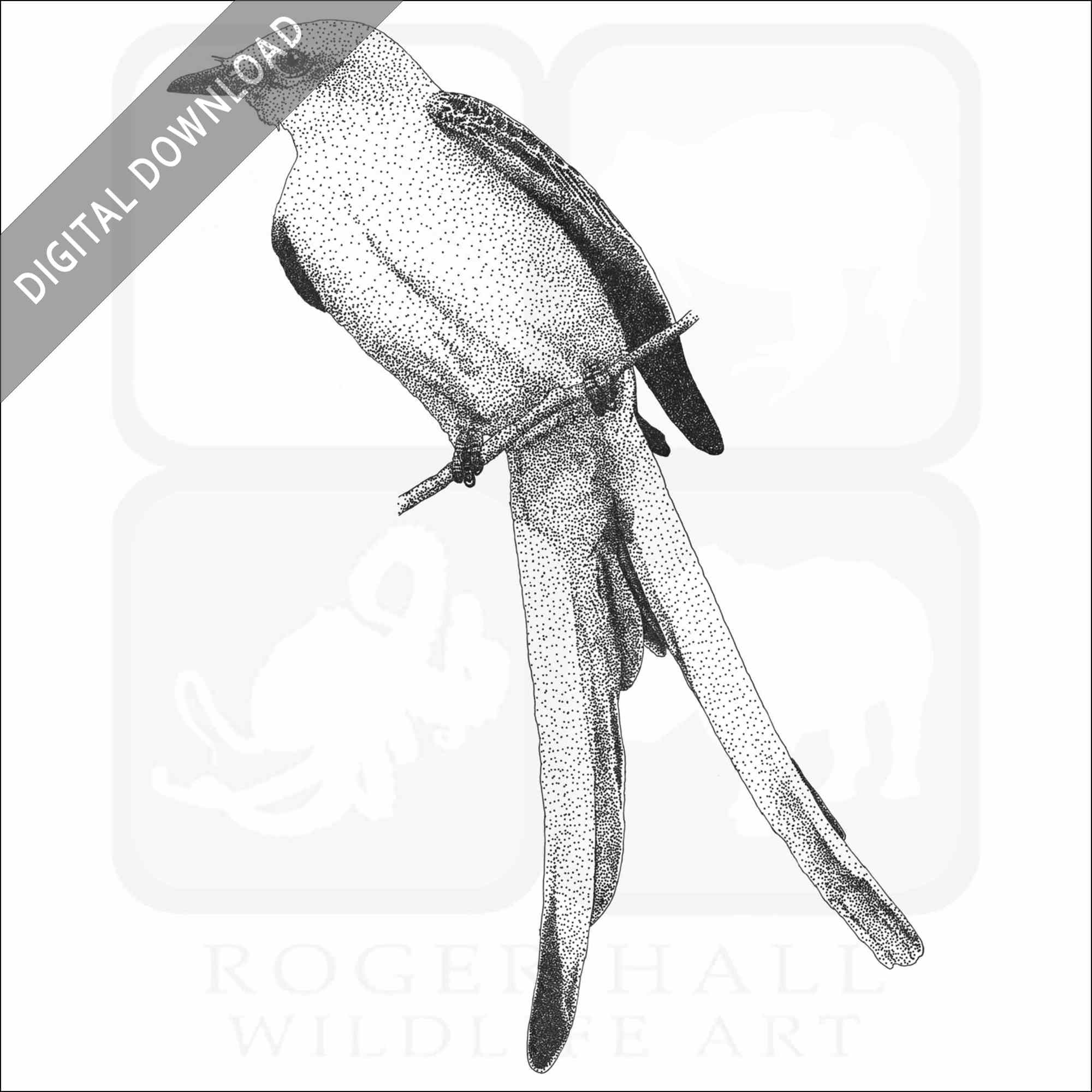Stock art drawing of a scissor