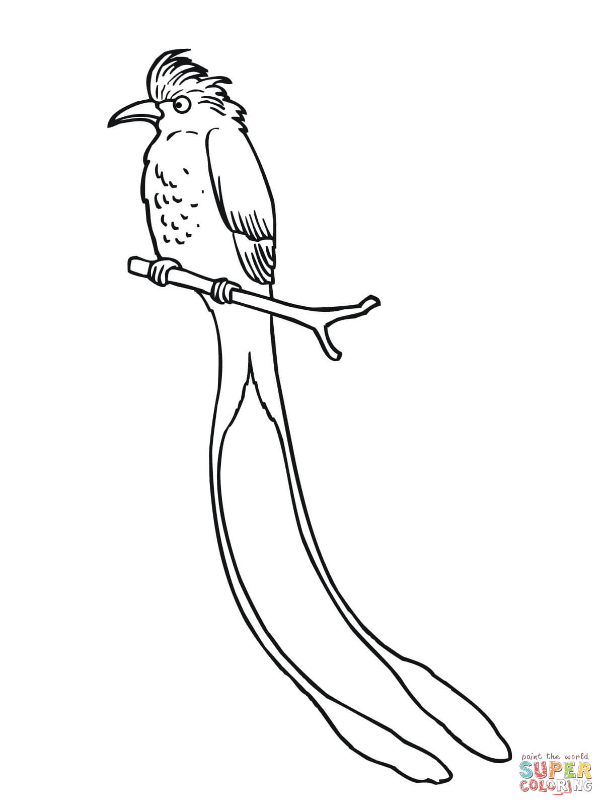 Tropical scissor tailed flycatcher coloring page free printable coloring pages