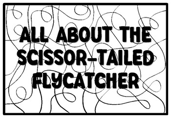 All about the scissor