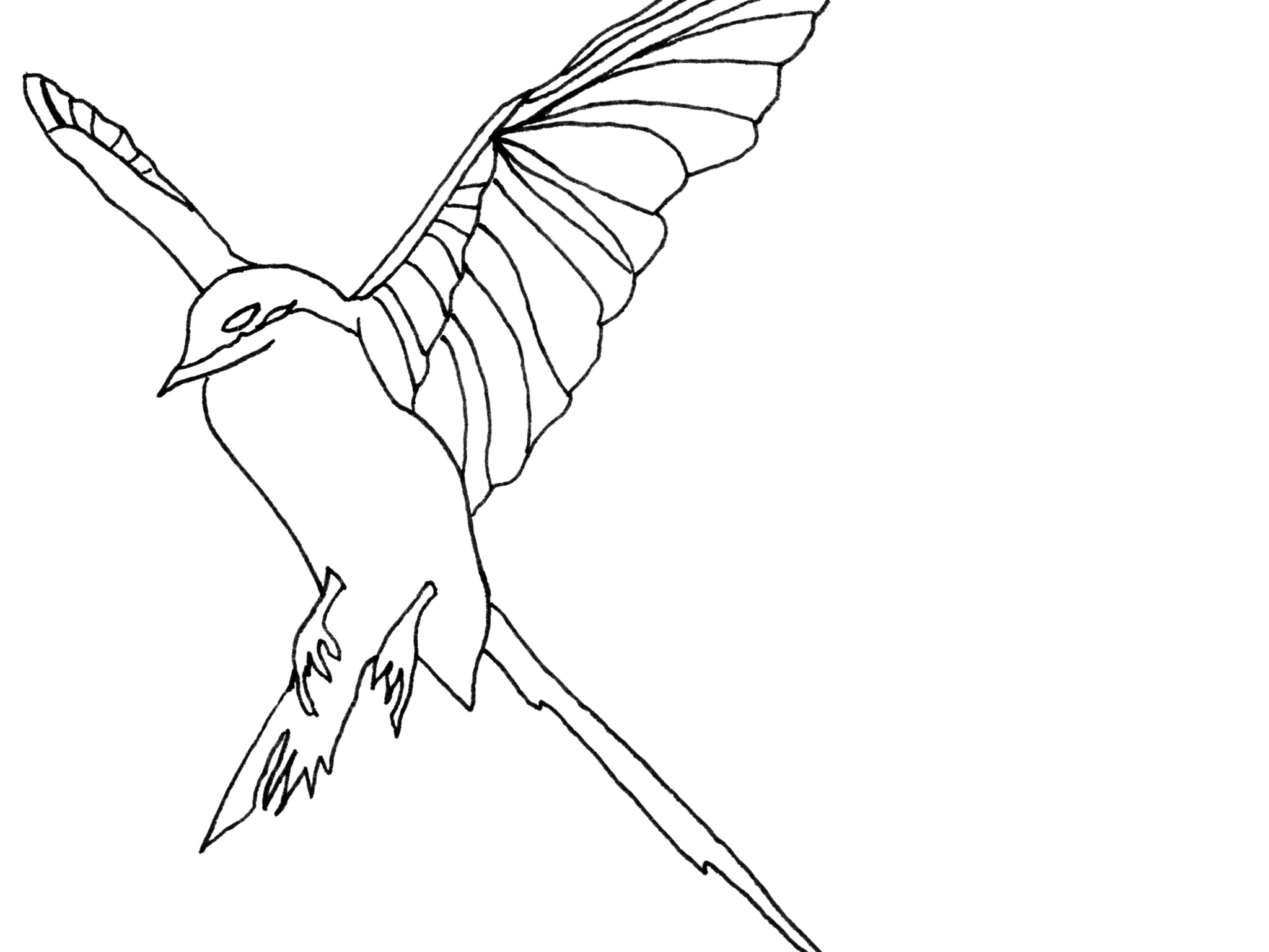 Oklahoma state bird scissor