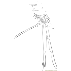 Scissor