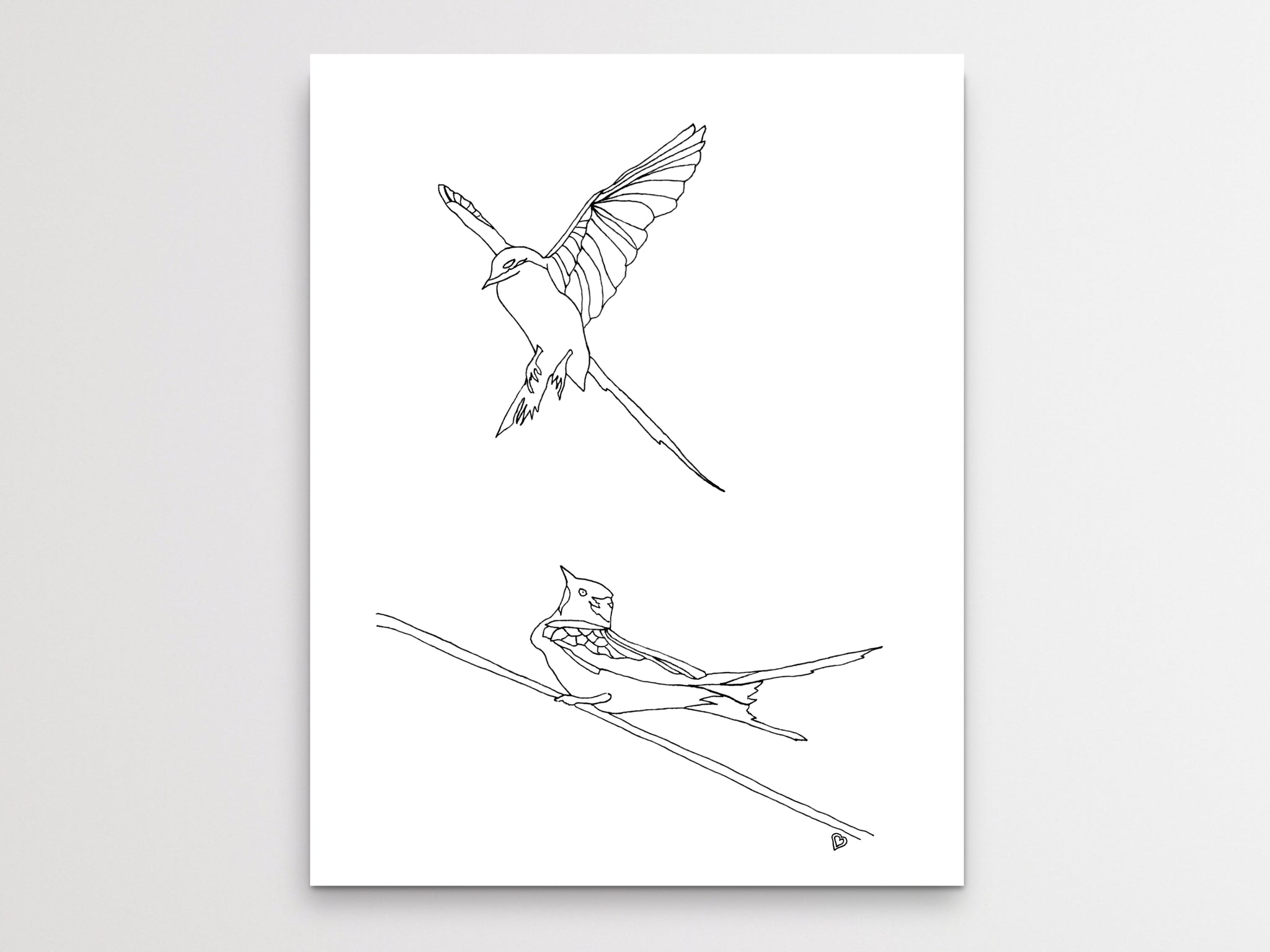 Oklahoma state bird scissor