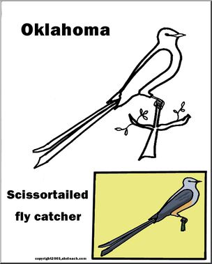 Oklahoma state bird