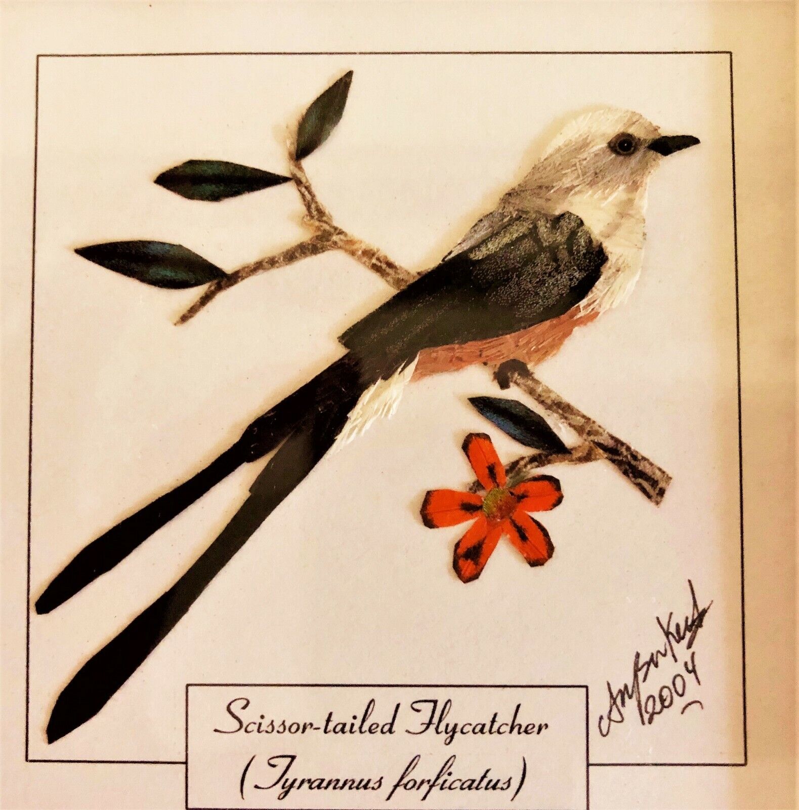 Vintage butterfly miniature scissor tailed flycatcher by dr a n bonkewitzz