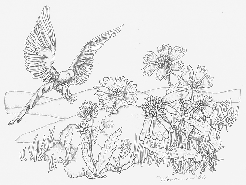 Smallworks