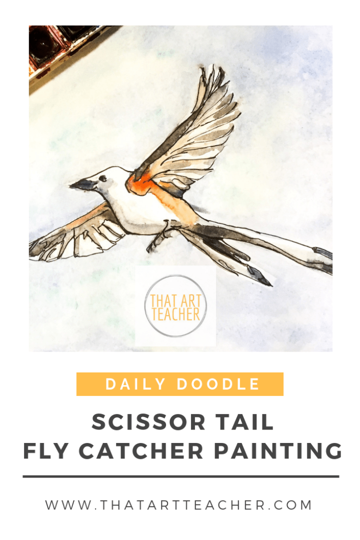 Daily doodle scissor tail fly catcher