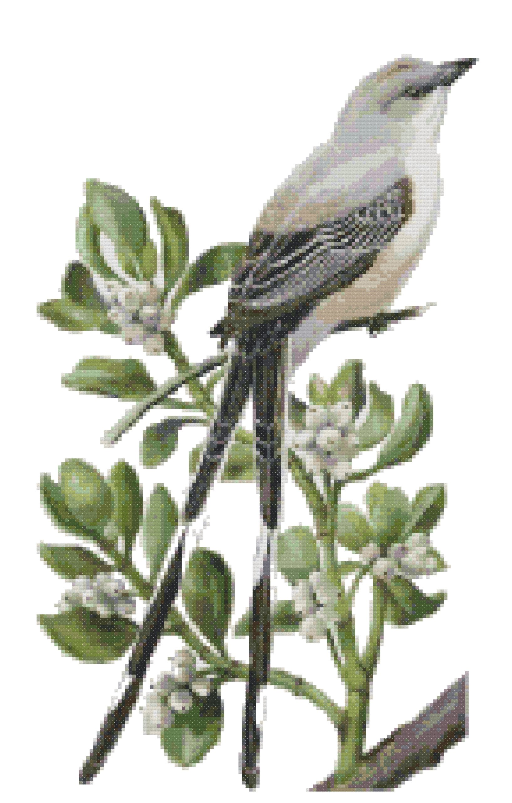Oklahoma state bird and flower scissor