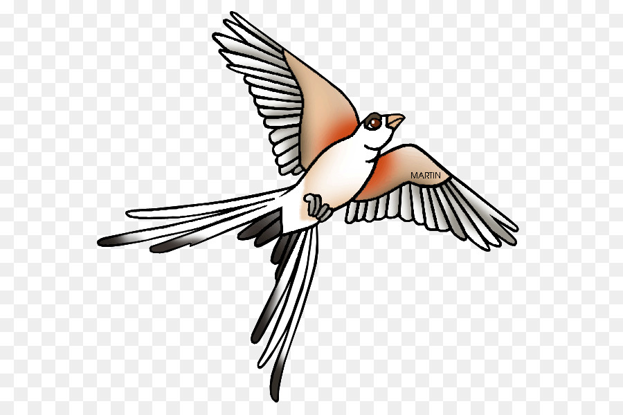 Bird line drawing png download