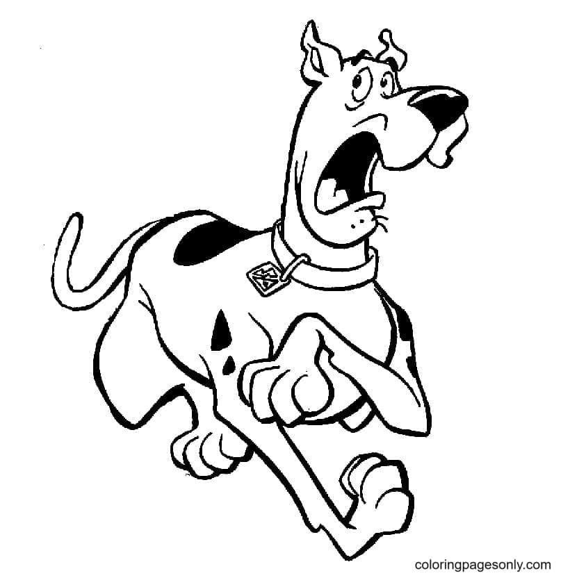 Scooby