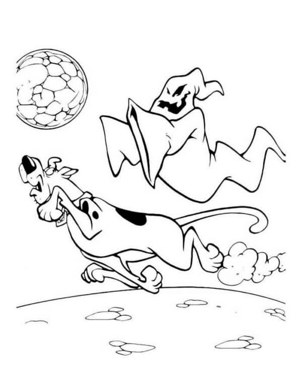 Scared scooby