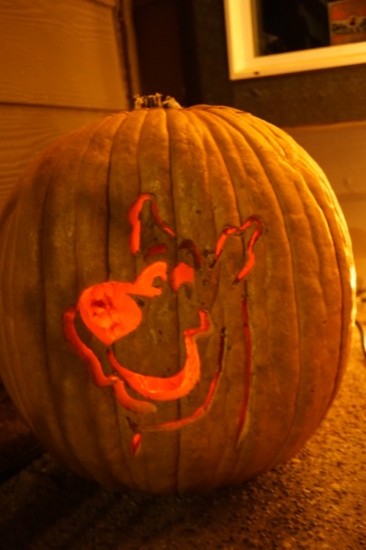 Halloween the pumpkin