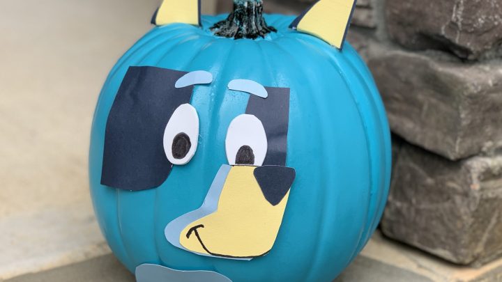 Disney junior bluey no