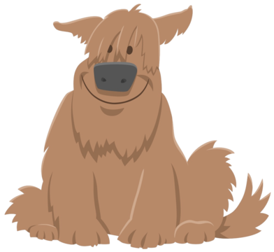 Shaggy scooby doo png transparent images free download vector files