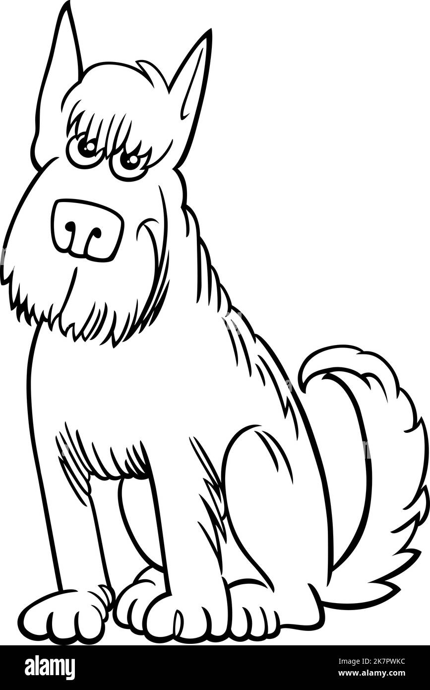 Shaggy dog black and white stock photos images