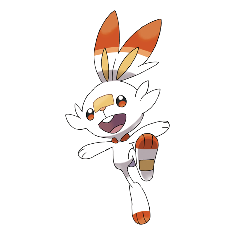 Scorbunny pokãdex