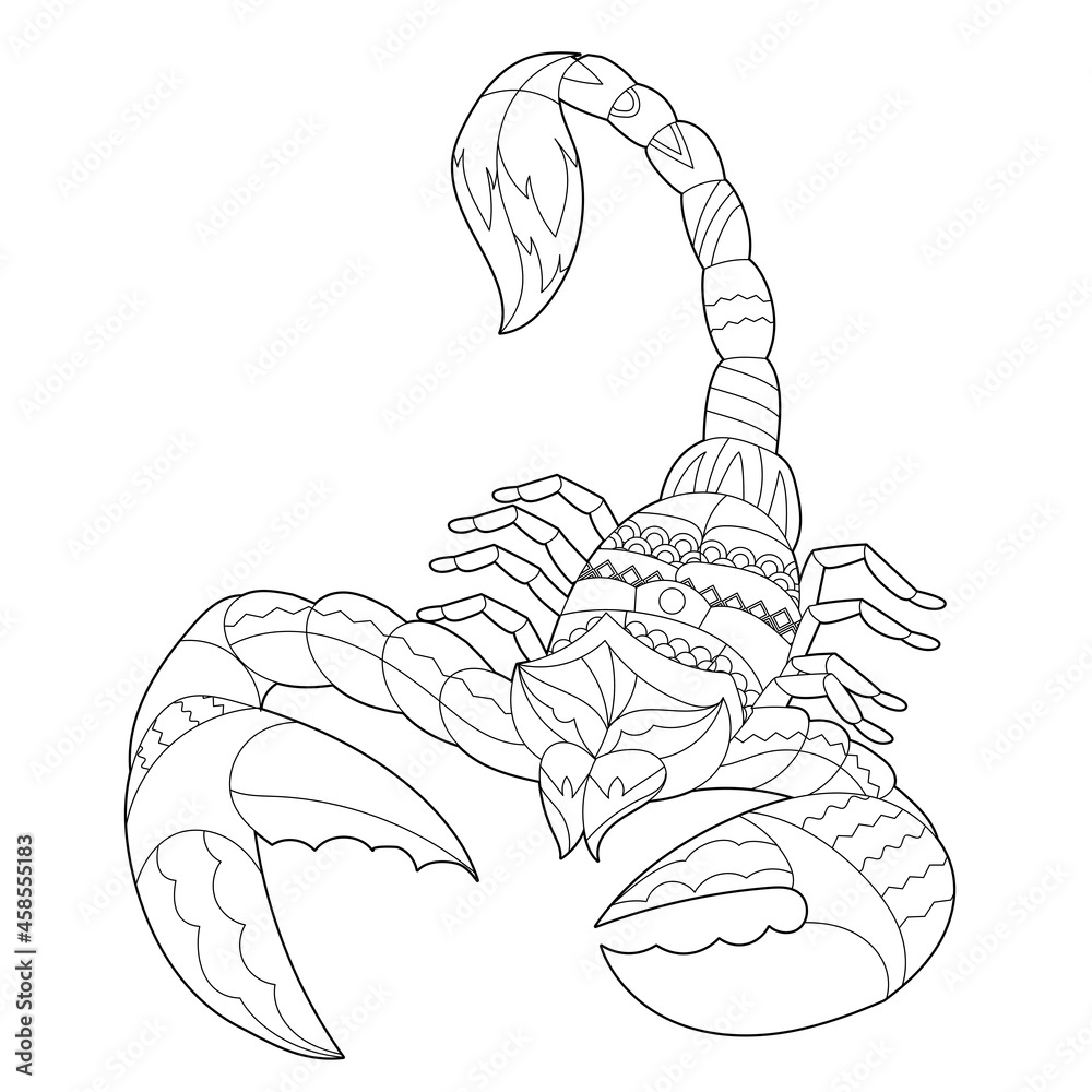 Contour linear illustration for coloring book with decorative scorpion beautiful animal anti stress picture line art design for adult or kids in zen