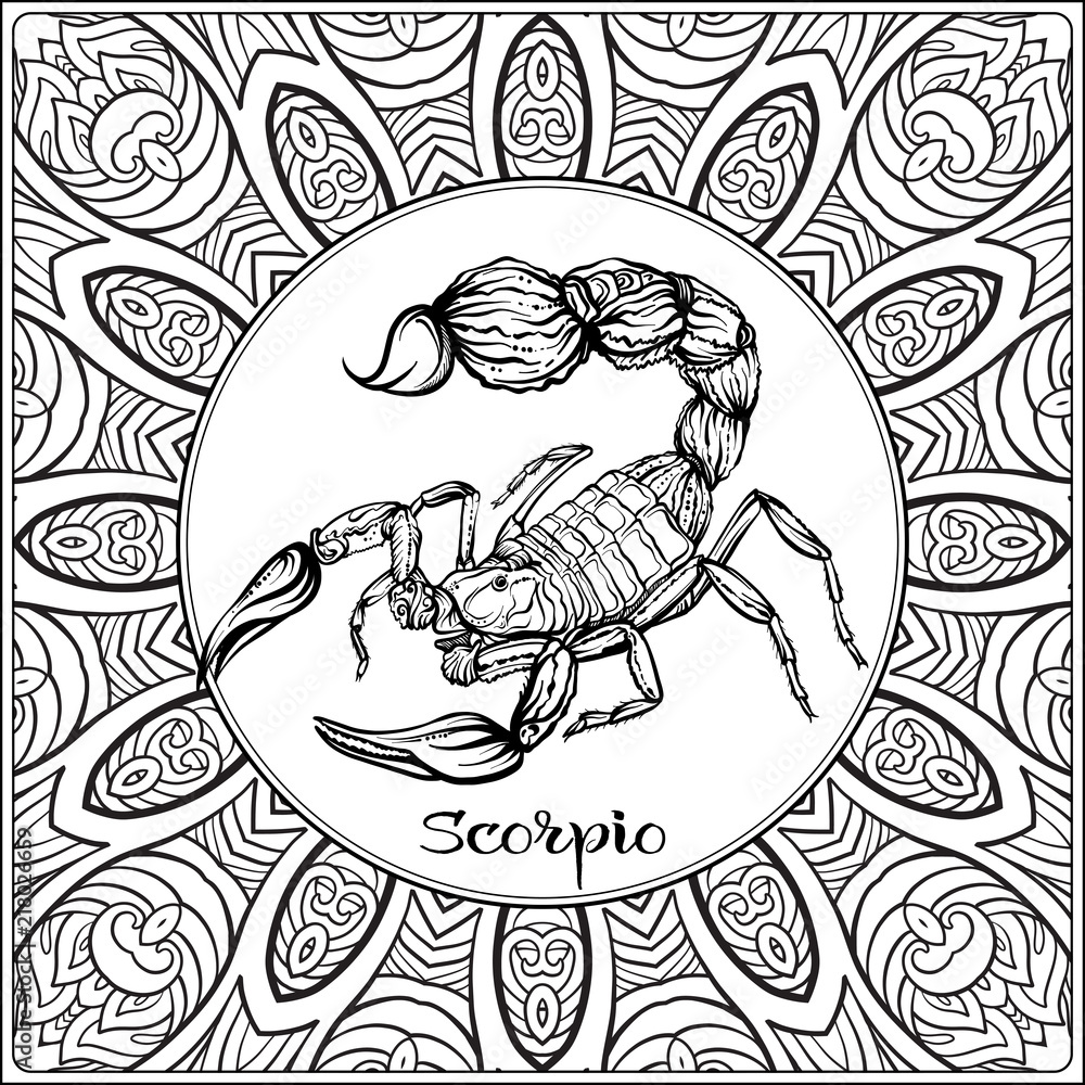 Scorpio decorative zodiac sign on pattern background outline hand drawing good for coloring page for the adult coloring book vector illustration vector