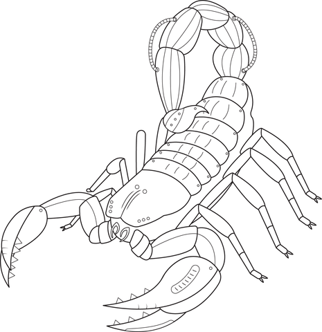 Steampunk scorpio coloring page free printable coloring pages