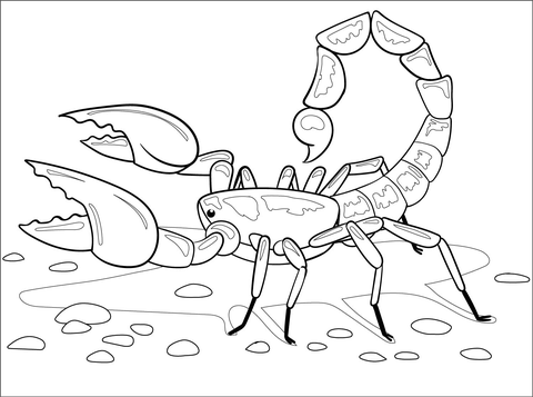 Scorpion coloring page free printable coloring pages