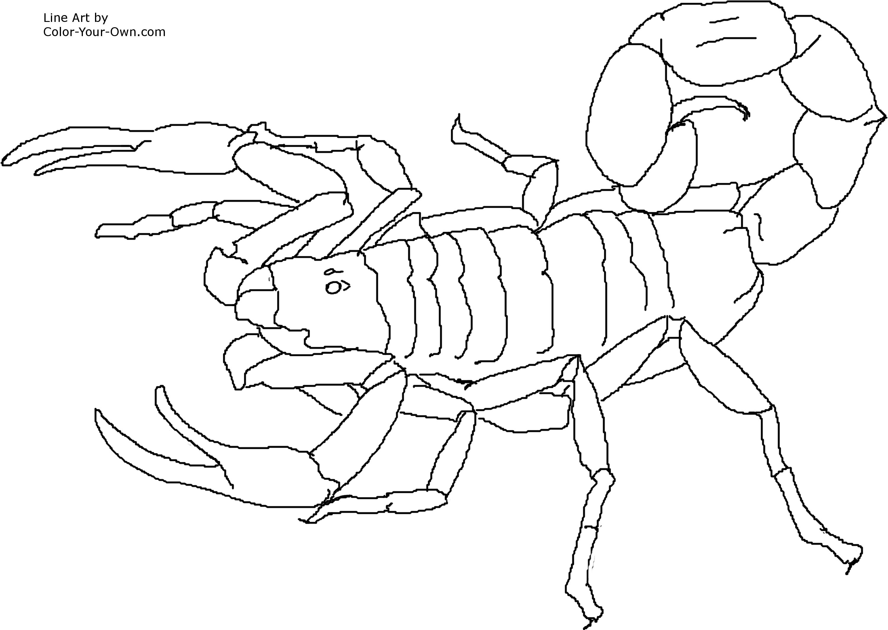 Scorpion coloring page
