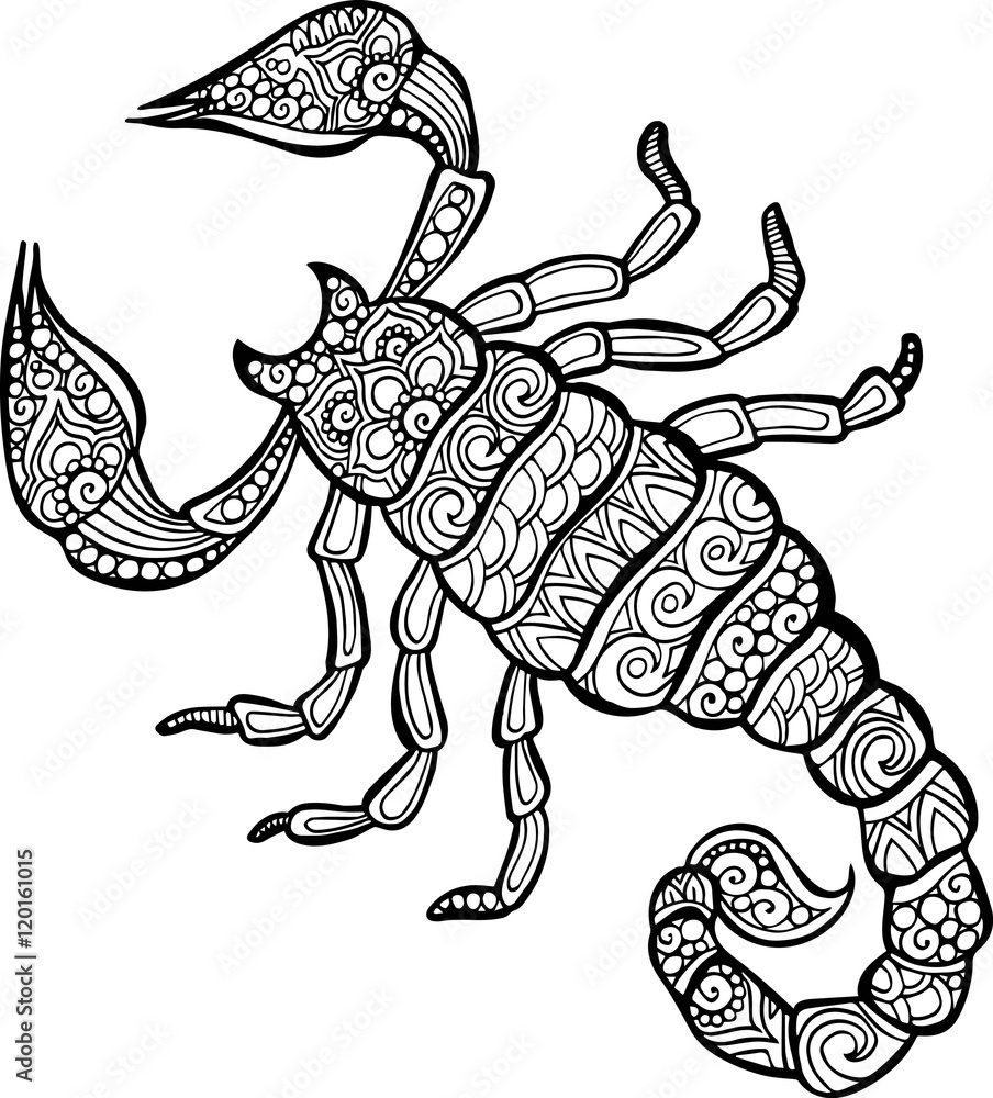 Vector hand drawn doodle scorpion illustration for coloring book vector