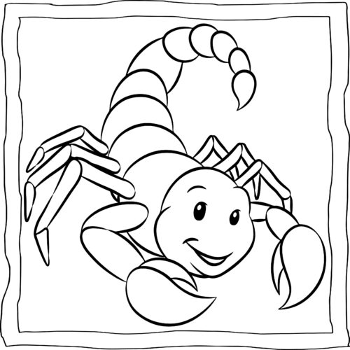 Scorpion coloring book easy and fun scorpions coloring pages for kids made by teachers