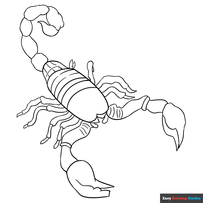 Scorpion coloring page easy drawing guides