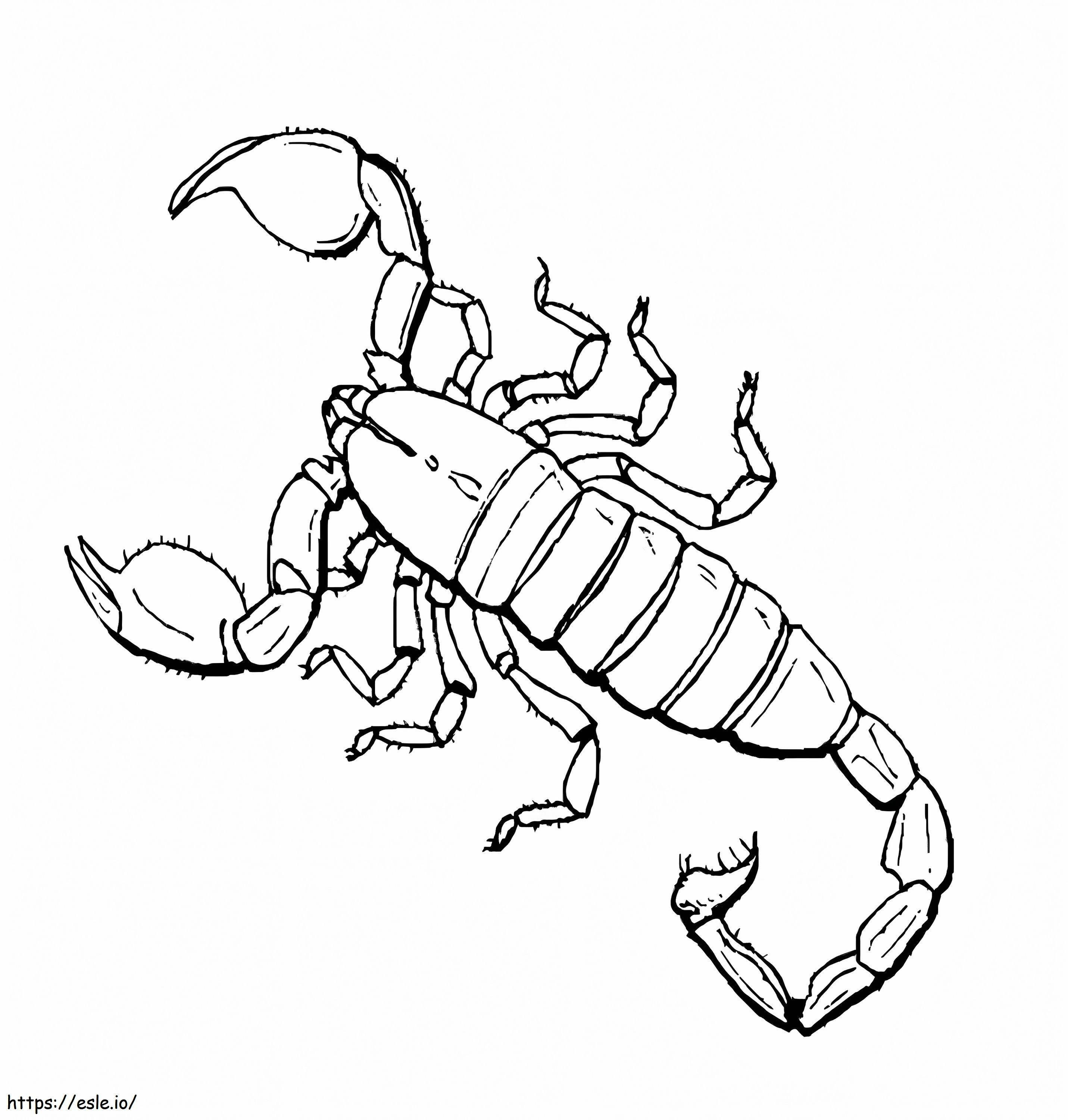 Scorpn coloring page