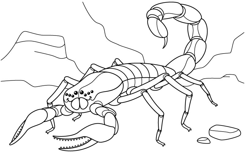 Scorpion â
