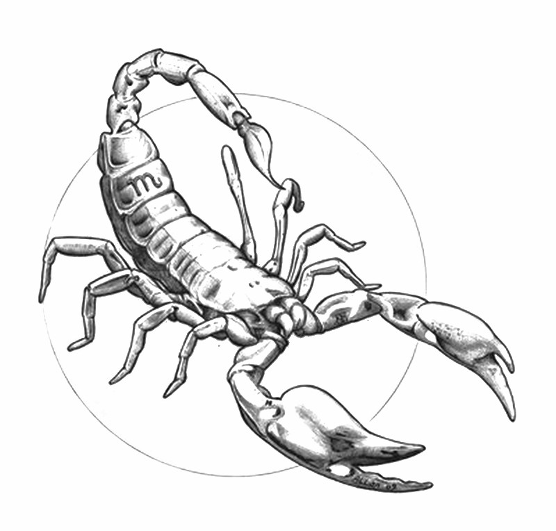 Art therapy coloring page astrology scorpio