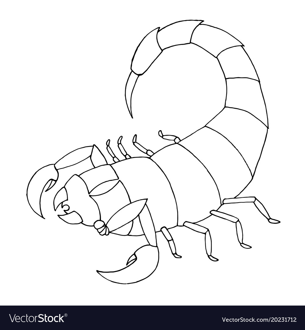 Scorpion coloring book outline royalty free vector image