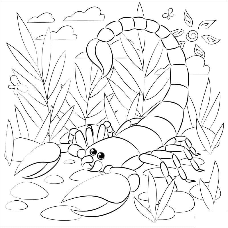 Cute scorpion worksheet