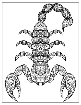 Scorpion zentangle coloring pages zen doodle coloring sheets march activities